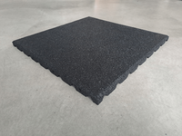 Gumowa płyta chodnikowa / 25 mm / 0,5x0,5m / SCP Select