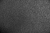 Regranulat 950 / 2mm / 1x10m / SCP Select